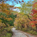 노고단-8 Daum카페