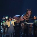 25.08.02 고양문화재단 인스타 효정 이미지