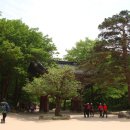 동천민박 이미지