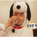 엠더블유스토어 | 오프 놓치지 말아야 하는 이유(단골이 말하는 r2w 세일 공략법과 한남동 스토어 출동기록, 주차정보 등)