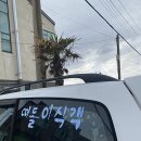 개운식당 - 원주시 | 개운식당