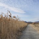 빠끔살이 펜션 이미지