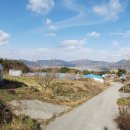 견우농장 이미지