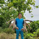 일구사슴농장 이미지