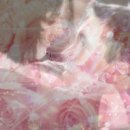 백세시대 이미지