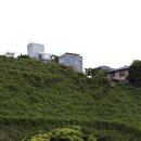 시원디자인
