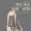 필라랩리햅연수 네이버블로그