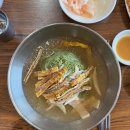 창밀로 | 밀양 냉면 맛집 대설면옥 현지인 내돈내산 솔직후기