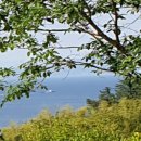 관포IC입구 이미지