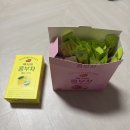 롯데하이마트(주)둔산점 | 2025 07~08