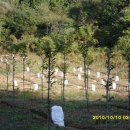 느티나무농장 이미지