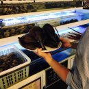 경기도 수원시 영통구 대학4로 이미지