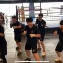 송탄권투체육관 이미지