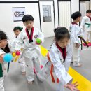 리더 태권도장 이미지