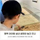 용소금각로 | 평택 아이랑 실내 무료 웃다리문화촌 생태야 놀자