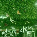 기대이상