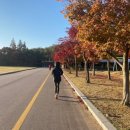 일등해장국 이미지