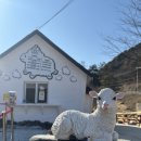 산속목장 | 메에에에~~하양목장~메에에~