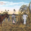 이룬농장 이미지