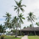 비고리조트 16 이미지