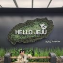 에코랜드수영장 | 🌴제주도 첫날✈️ 에코랜드&amp; 신라호텔 수영장 후기🍊