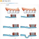 올바른 치아 관리법 이미지