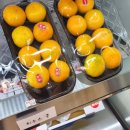 자연을담은과일가게 이미지