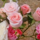 올해의 히트작 이미지