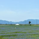 대벌경로당 이미지