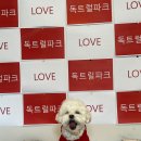 독트럴파크
