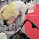 살구펫 | 2024 하반기 메가주 일산(하) 펫 박람회 주관적인 후기