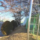 화도중학교 이미지