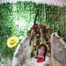 스위치(switch) 이미지