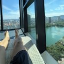 세라젬서비스월드 | [호텔] 소피텔 앰버서더 호캉스 (조식, 수영장, 헬스장 후기)