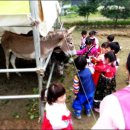 예광몬테소리어린이집 이미지