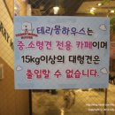 테리몽하우스 이미지