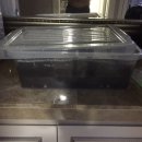 점박이 농장 이미지