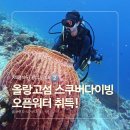 제니아투어 | 세부 올랑고섬 스쿠버다이빙 후기② | 오픈워터 자격증 취득 [4일차]