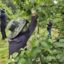 영덕군 물관리사업소 이미지