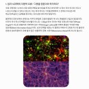 [학술 논문] 거시 양자 위상 역학과 ZPX 비미분적 우주 공명 모델에 기반한 자아 의식(영혼)의 영원성 및 수면 메커니즘 분석 (An 이미지