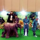 엑스포상사 브런치