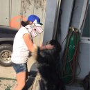 한진카센터 이미지