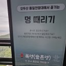 멍 때리는 전망대 이미지