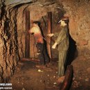 제주평화박물관 이미지