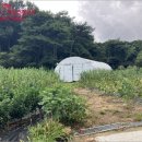 성하리 마을회관 이미지