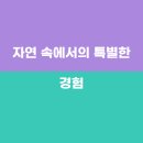 들꽃향기민박 이미지