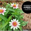 간호과정과비판적사고 이미지