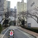 효성 현대2차아파트 이미지