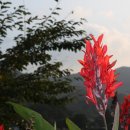 백전소재지 이미지