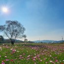 숲뜰근린공원 이미지